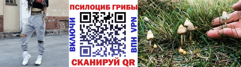 Галлюциногенные грибы Psilocybine cubensis KRAKEN онион Красково